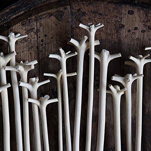 Cocktail Kingdom Cocktail Kingdom® Traditional"Le Bois Lélé" Swizzle Stick