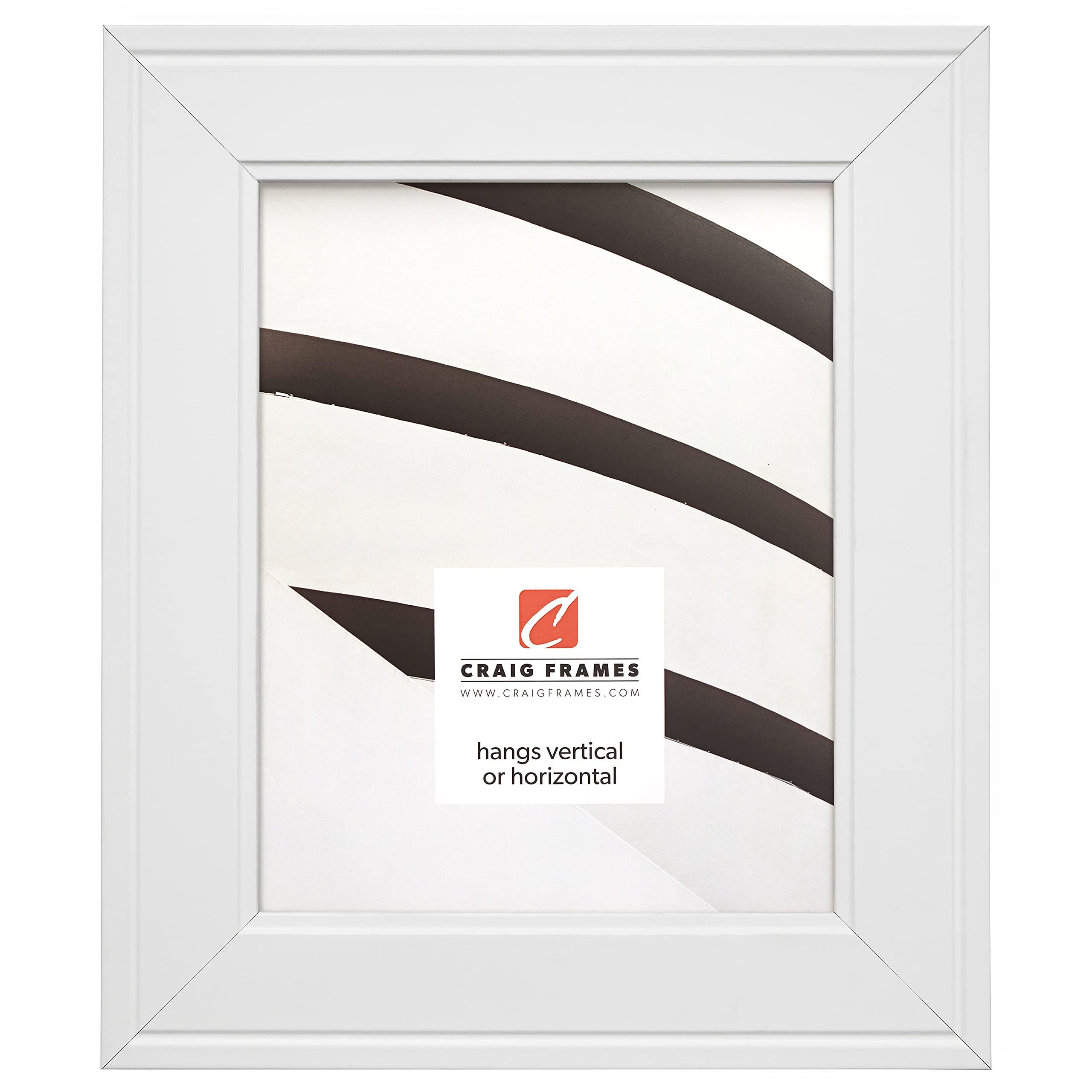 Craig Frames Craig Frames Inspirations, 10x14 Picture Frame, Gallery White