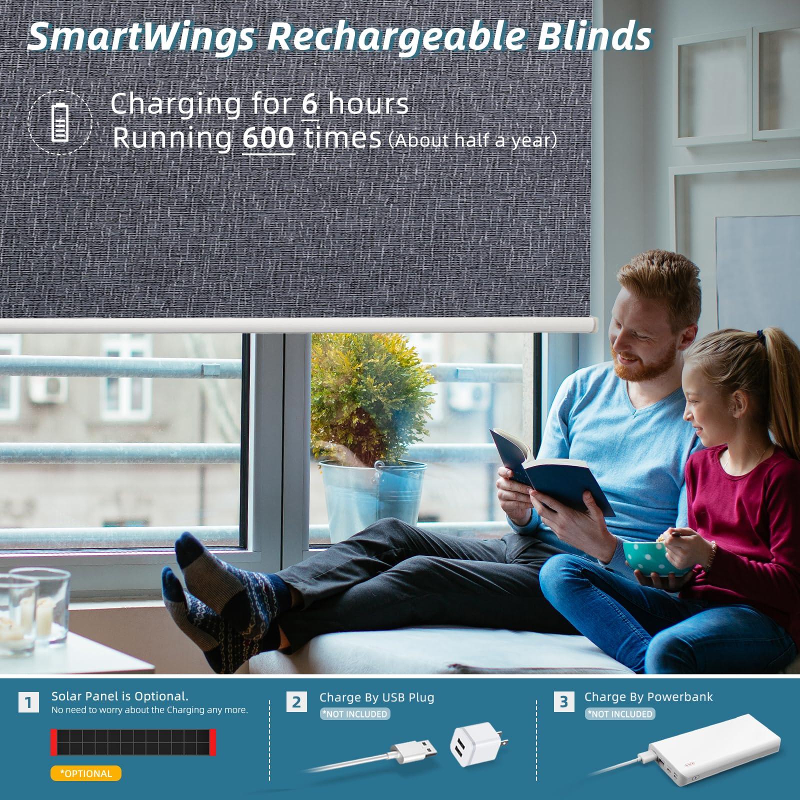 SmartWings SmartWings Motorized Smart Blinds with Remote, Custom Automatic 100% Blackout Roller Shade Compatible with Alexa/Homekit/Google, Electric Smart Blinds for Indoor Windows, Eclipse Charcoal