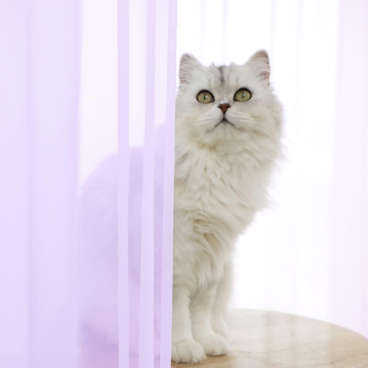 L&TEC Window Purple Sheer Curtains 84 Inches Long 2 Panels Sheer Curtain Basic Rod Pocket Panel for Bedroom Children Living Room Yard Kitchen (Purple, 52" W x 84" L | 2 pcs)