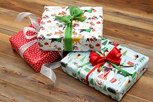 Caspari Entertaining with Caspari Holiday Gift Wrapping Paper Roll, Small Dots, Red, 1-Roll