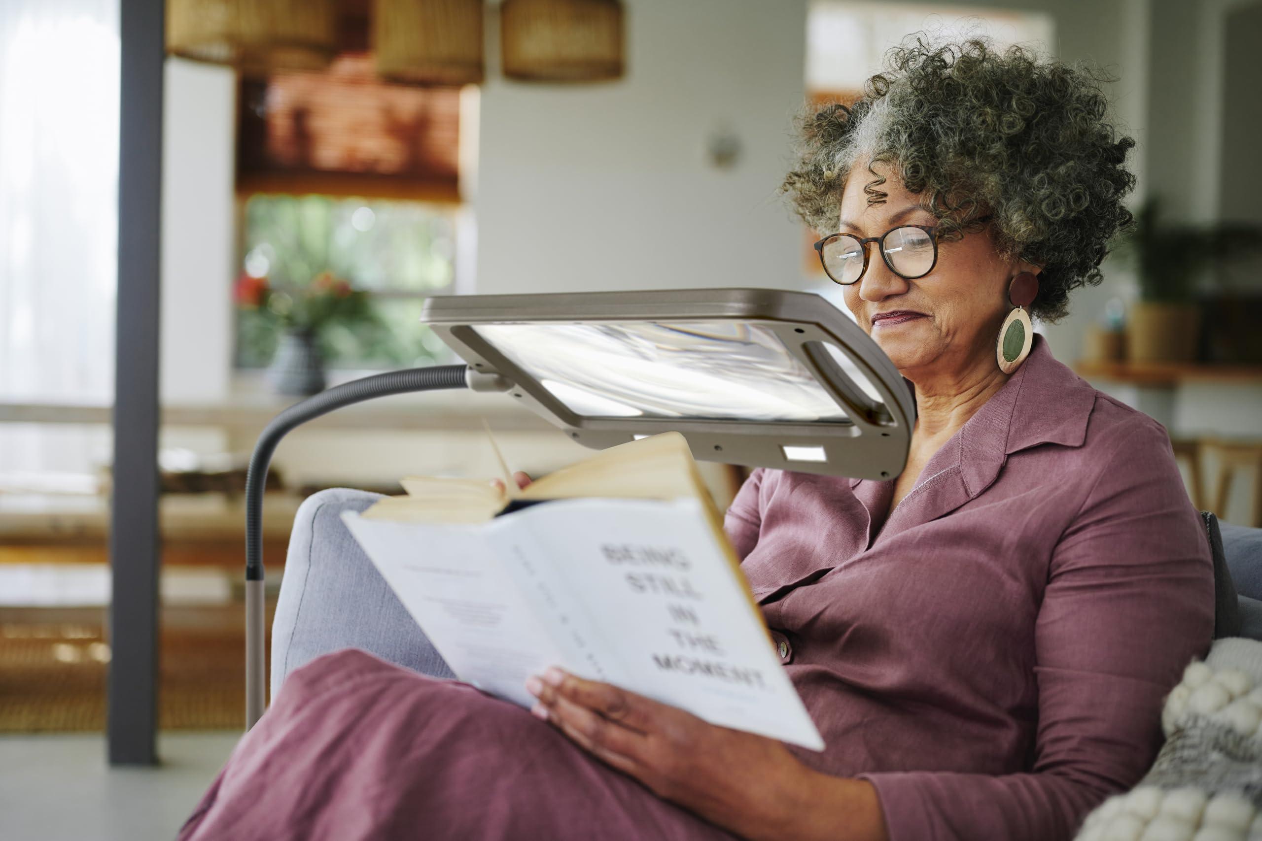 daylight24 daylight24 402039-BRNZ Full Page 8 x 10 Inch LED Illuminated Floor, Bronze Magnifier Lamp