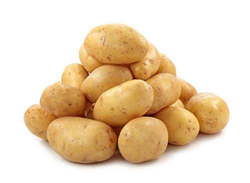 Bay Mill Bay Mill Potato Brush and Vegetable Scrubber, 1.5 x 3-Inches