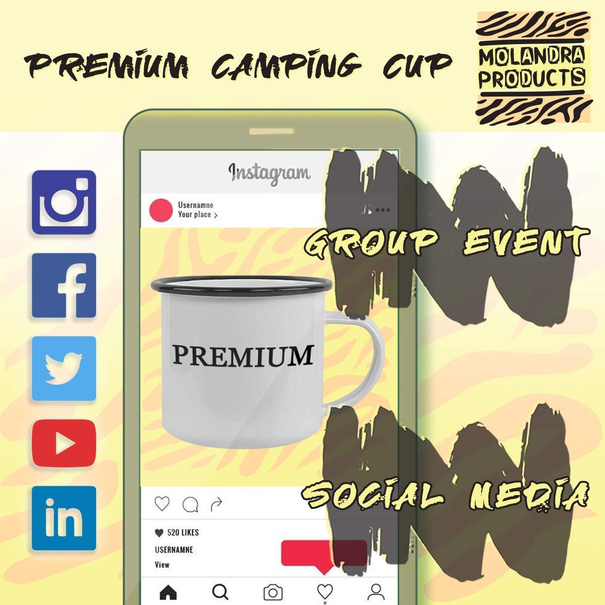 N&T NIETING N&T NIETING Rose Artificial Flowers 25pcs Fake Flowers Rose Perfect and 50pcs Foam Roses White