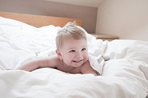 Crown Collection Crown Royal Hotel Collection 800 Thread Count Egyptian Cotton Full Size 6 Piece Sheet Set 24\'\' Inch Deep Pocket Fitted Sheet Burgundy Solid