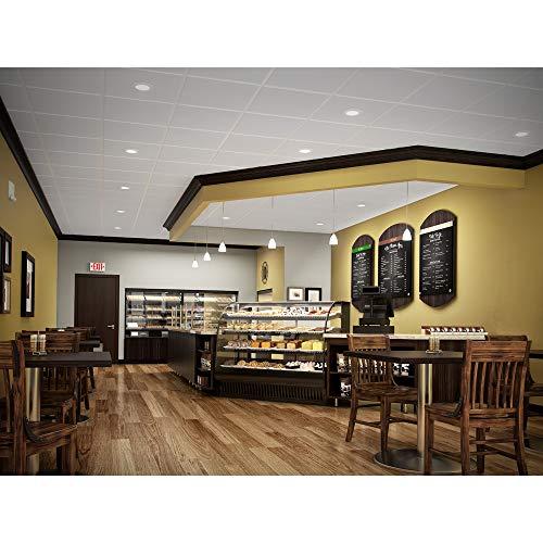 HALO HALO RL56 Integrated LED Recessed Ceiling Light Fixture Retrofit Downlight Trim at 90 CRI, 2700K Warm White, White, 5 in. and 6 in.