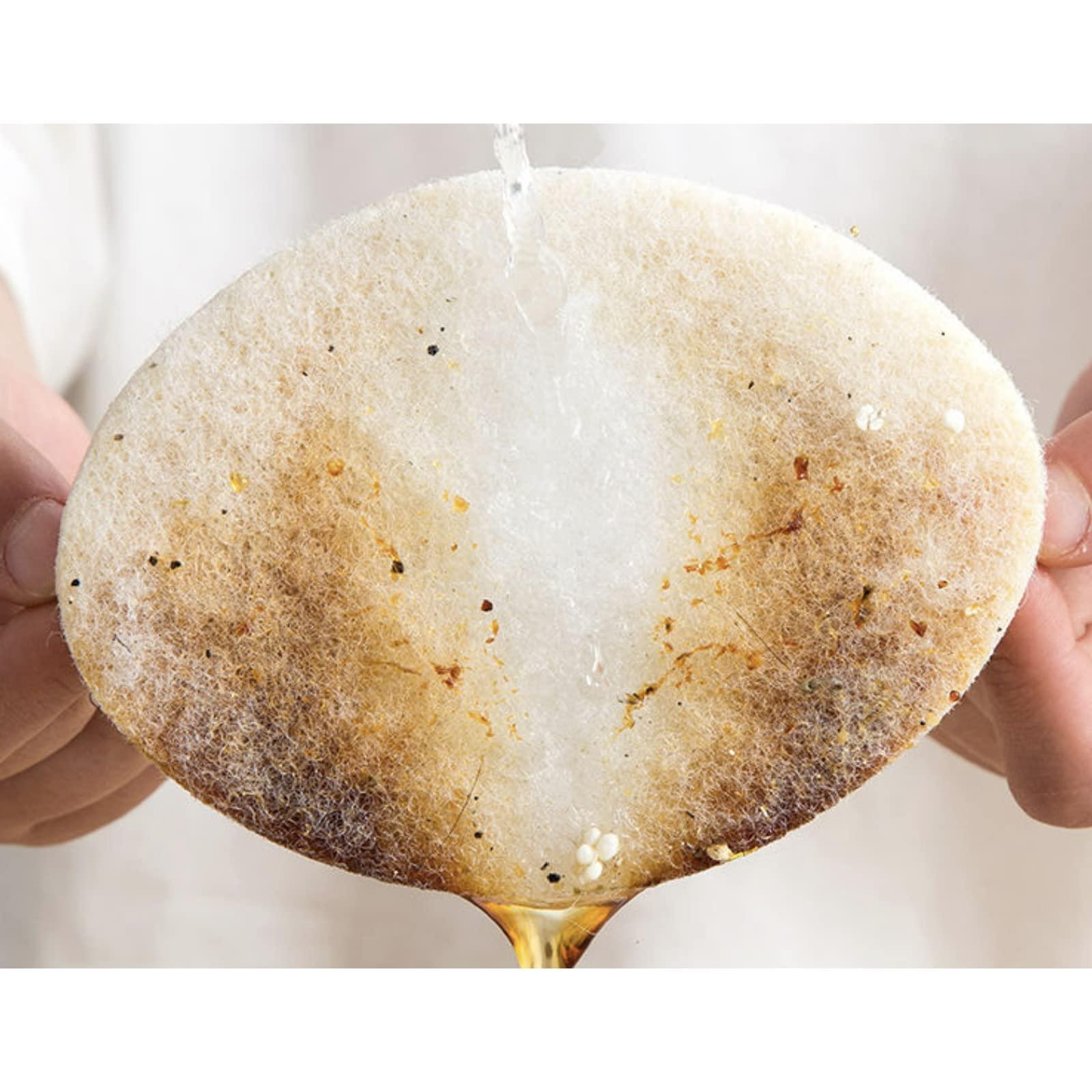 WOSPEL Long Handle Sponge Brush, Floor Brush, Nano Sponge Toilet Brush, Toilet Brush, Bathtub Brush, Kitchen Cleaning Brush.