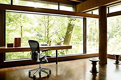 Herman Miller Herman Miller Aeron Tilt Limiter Task Chair, Adjustable Vinyl Arms, Graphite Frame/Carbon Classic Pellicle, Size B (Medium)