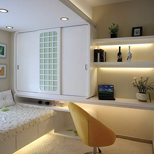 Armacost Lighting Armacost Lighting 132210 8.2 ft. LED Tape Light Soft White (2700K) RibbonFlex Pro Series 60, Dimmable, 250 Lumens per ft., 12-Volt