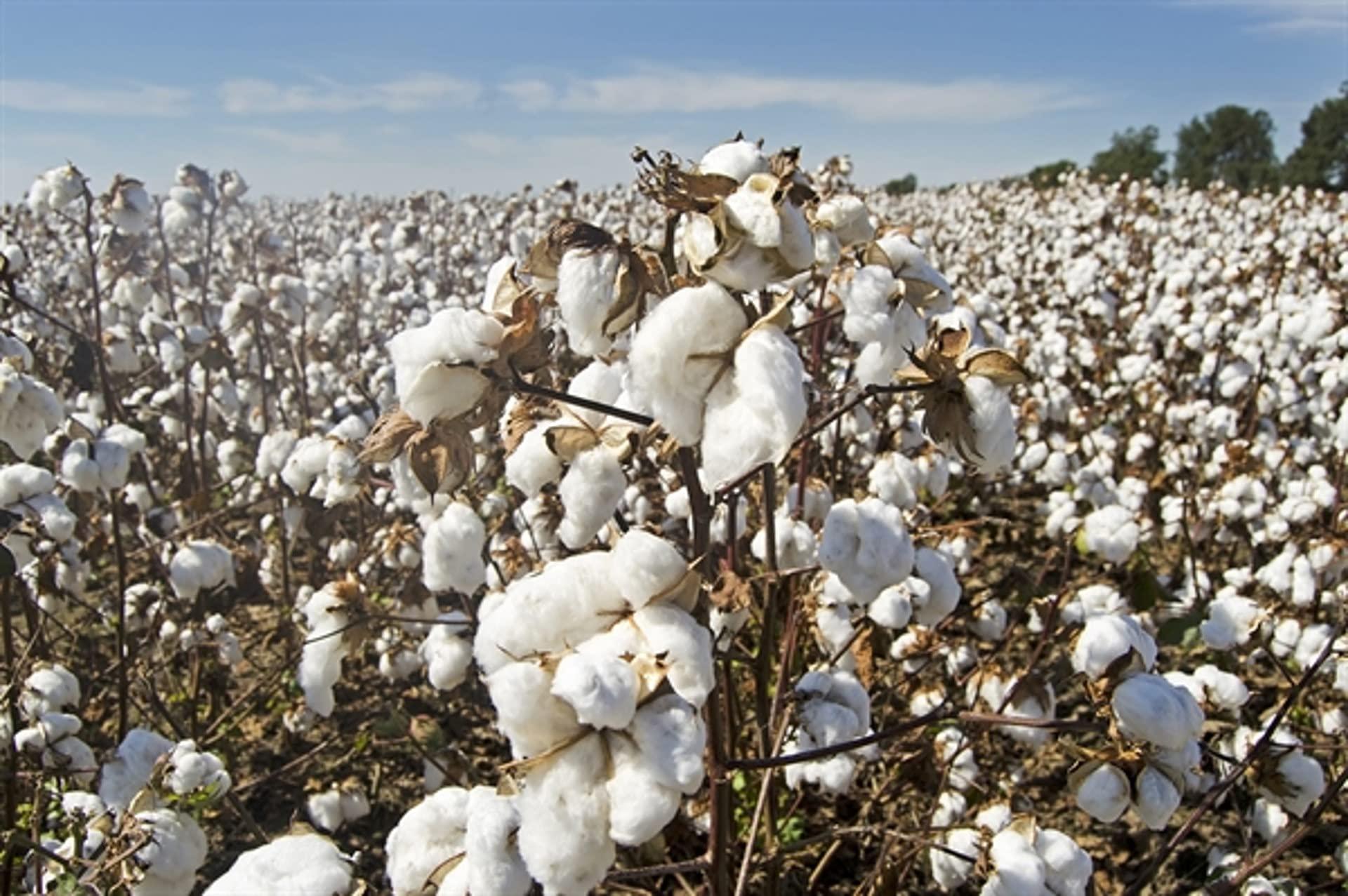 Mr Pandaa 100% American Supima Cotton 1000 Thread Count Sheet Set, Ultra Crisp, Sateen Weave Smooth Finish Plush Hotel Collection, 24\" Deep Pocket, Breathable & Fade Resistant-Full Extra Long-Navy Blue