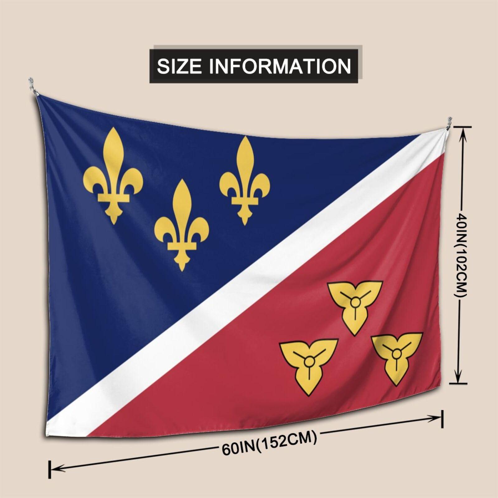 LIFANGMI LIFANGMI Flag Of Metairie, Louisiana Tapestry Wall Hanging 60x40 Inch Bedroom Living Room Dormitory Home Decoration Wall Tapestry