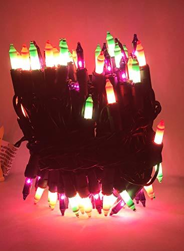 Home Accents Holiday 100 Ct Halloween String Light Set, Orange, Green, Purple, Black Cord