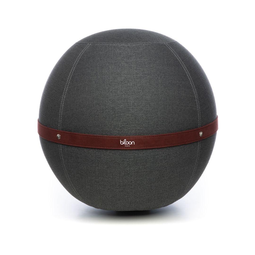 Bloon Paris Bloon Paris Ergonomic Sitting Ball Chair - Premium Desk Chair for Home and Office with Active Seating - Durable & Stylish Balance Ball Chair - Grey Platinium - Regular Size