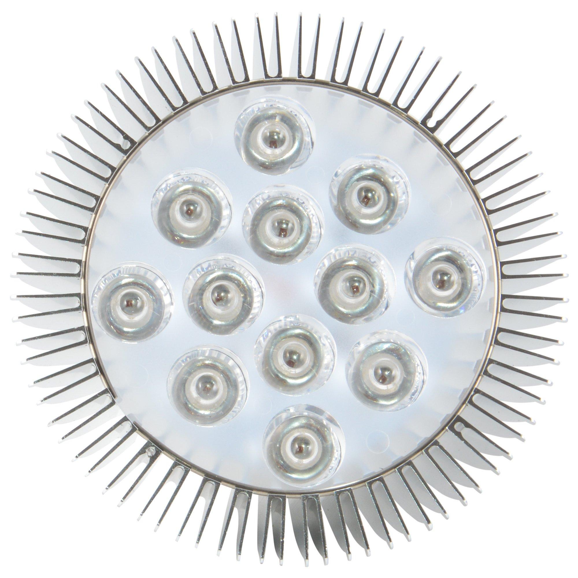 ABI ABI LED Light Bulb for Red Light Therapy, 660nm Deep Red and 850nm Near Infrared Combo, 24W Class