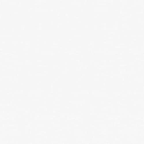 Signature Sleep Signature Sleep,Polyester Tranquility 6 Inch 2-Sided Flippable Bonnell Spring Coil Mattress, Twin Size,Medium GreenGuard Gold Certified,White