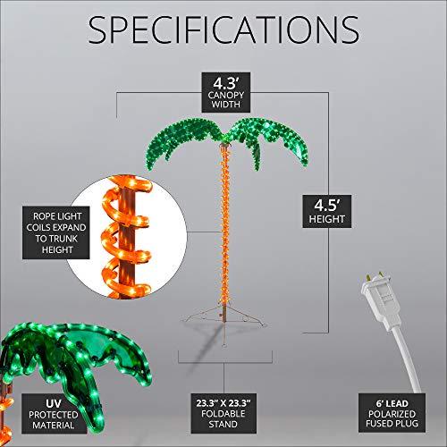 Wintergreen Lighting Deluxe Tropical LED Rope Light Palm Tree with Lighted Holographic Trunk and Fronds (4.5 Foot)