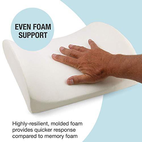 DMI DMI Lumbar Support Pillow for Chair to Assist with Back Support with Removable Washable Cover to Ease Lower Back Pain while Improving Posture, 14 x 13 x 5, Contoured Foam, Premium,Burgundy