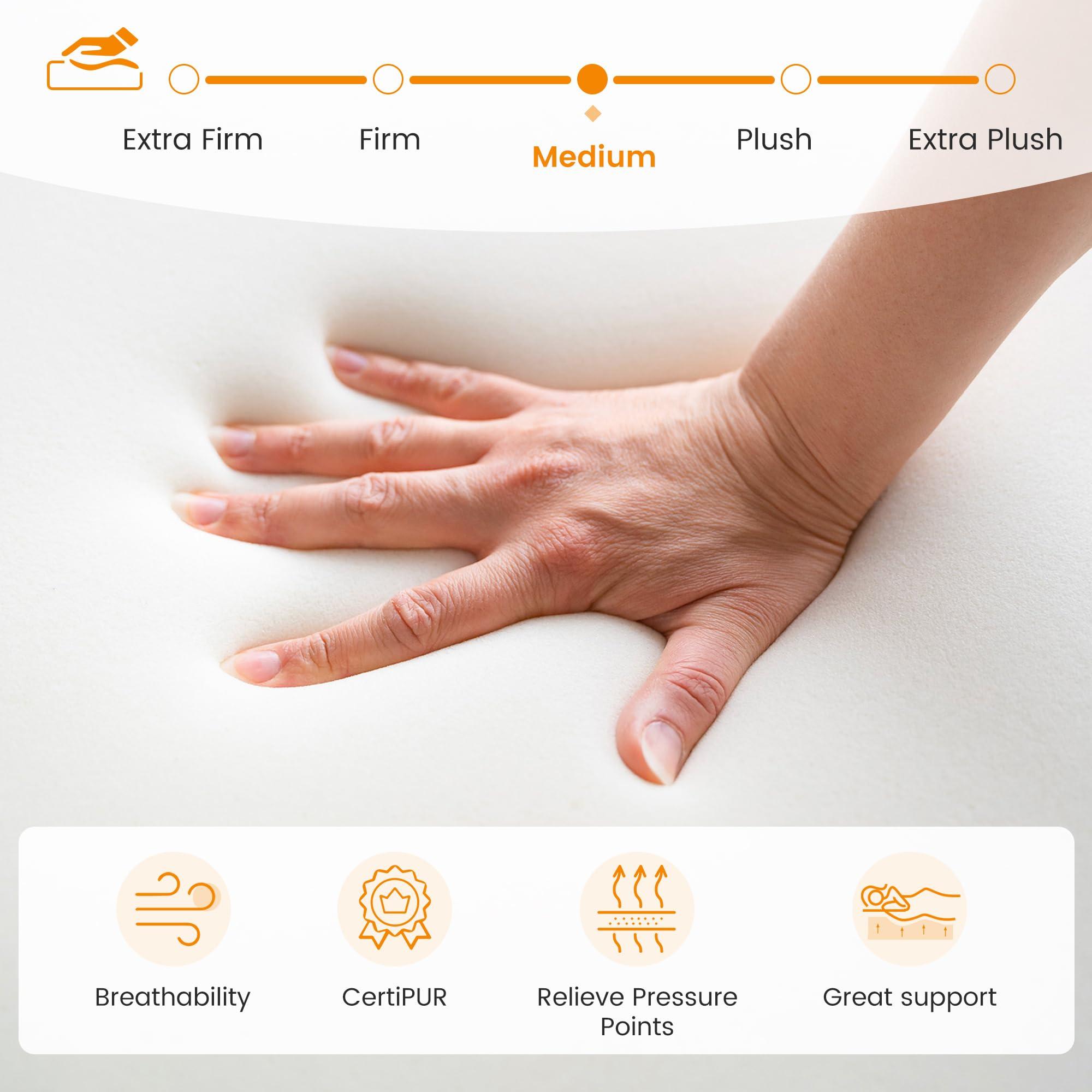 anwickjeff anwickjeff Queen Mattress,Memory Foam Hybrid Queen Mattresses,Mattress in a Box,Individual Pocket Spring Breathable Comfortable for Sleep Supportive and Pressure Relief (Queen Size)