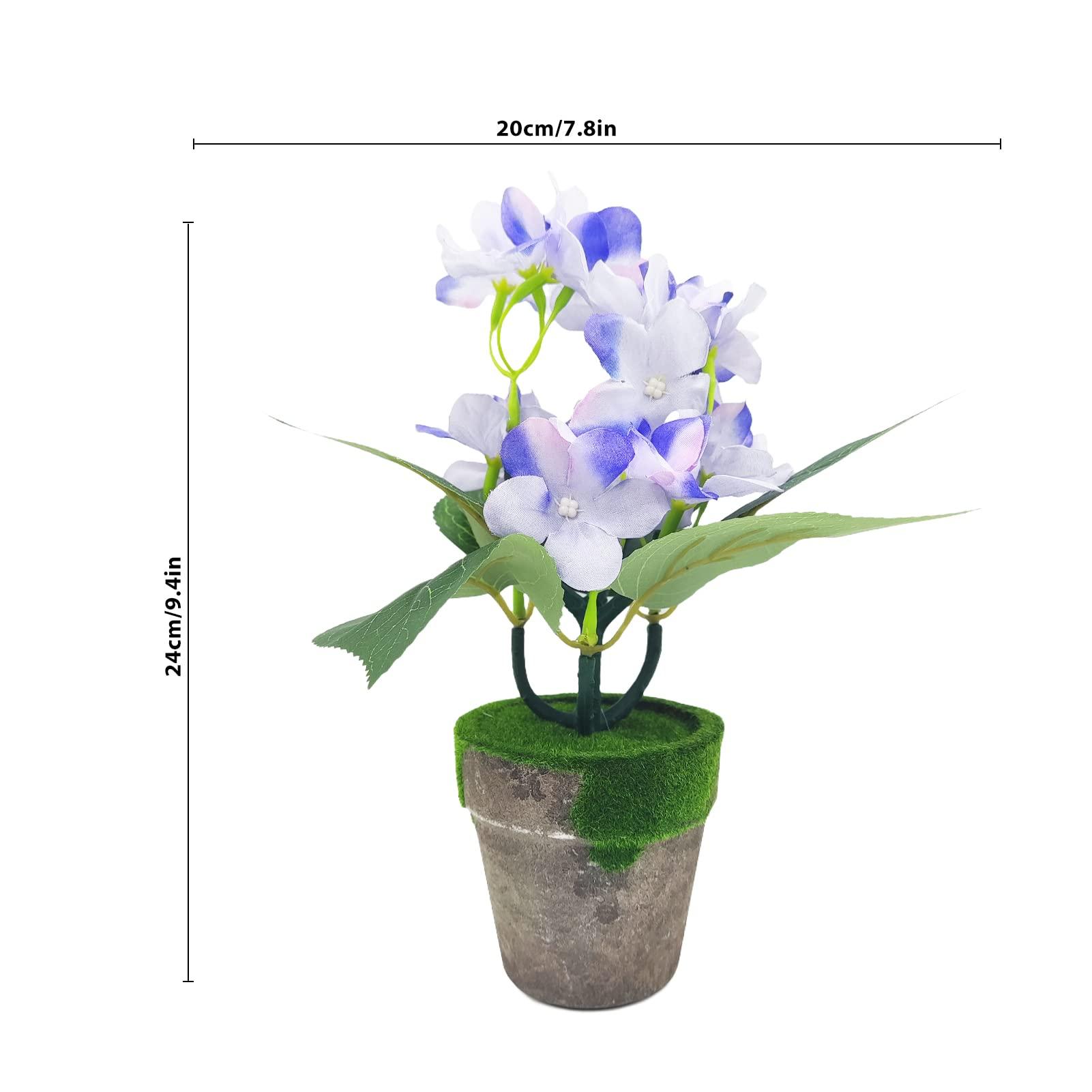 Hallmark Keepsake Hallmark Keepsake Christmas Ornament 2023, The Wizard of Oz Ornament, Under the Poppies\' Spell, Dorothy Gifts