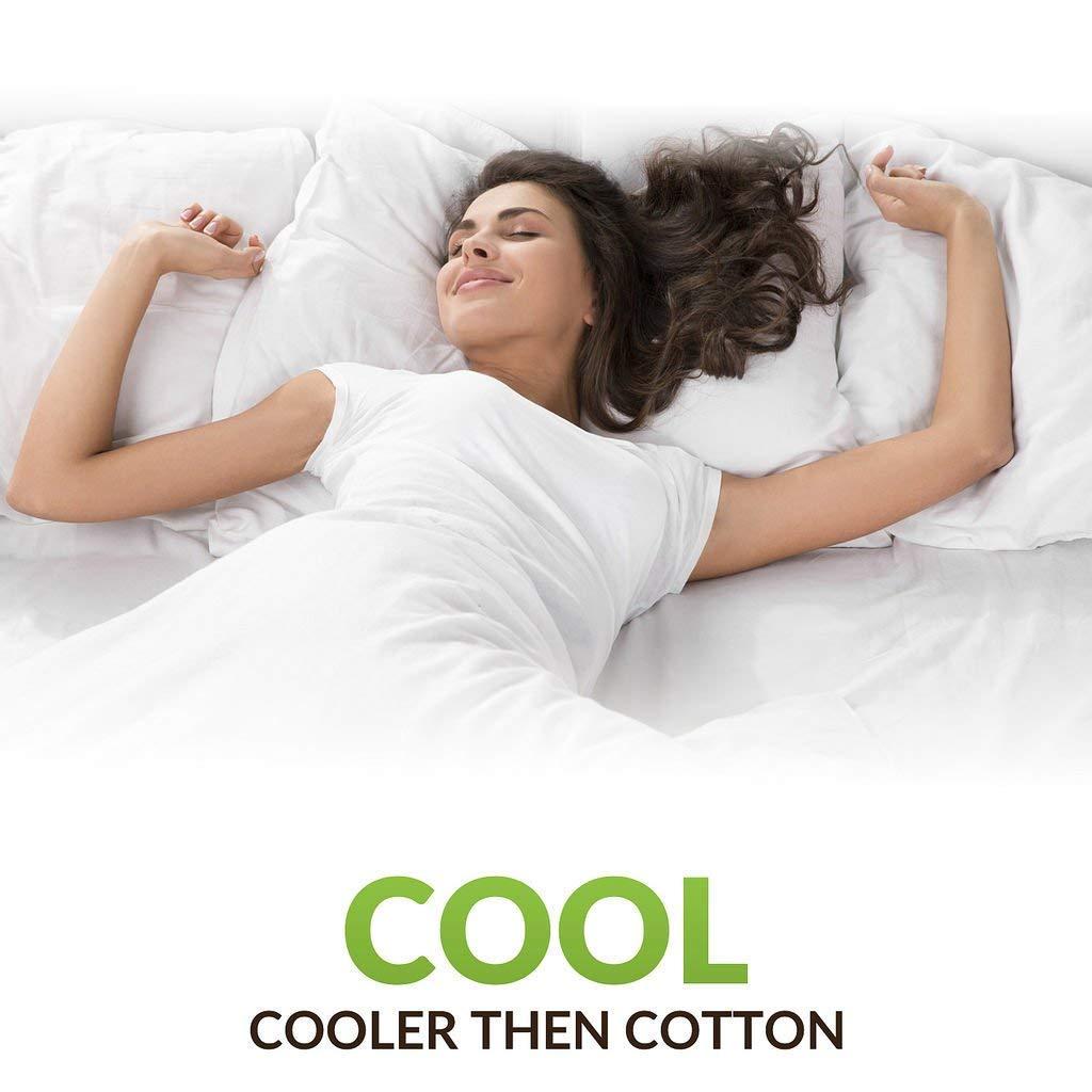 Cotton Home 500 Thread Count Egyptian Cotton Split Corner Bed Skirt/Dust Ruffle Queen Size Bed Skirt - 24\" Inch Drop Length Burgundy Stripe