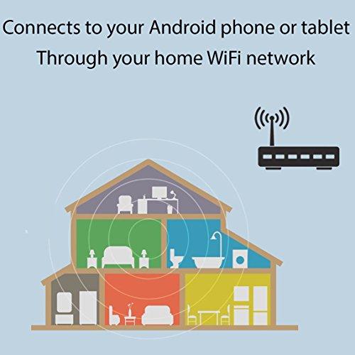 Maverick Maverick iChef ET-736 Wireless WiFi Cloud Based Dual Probe BBQ Meat Thermometer