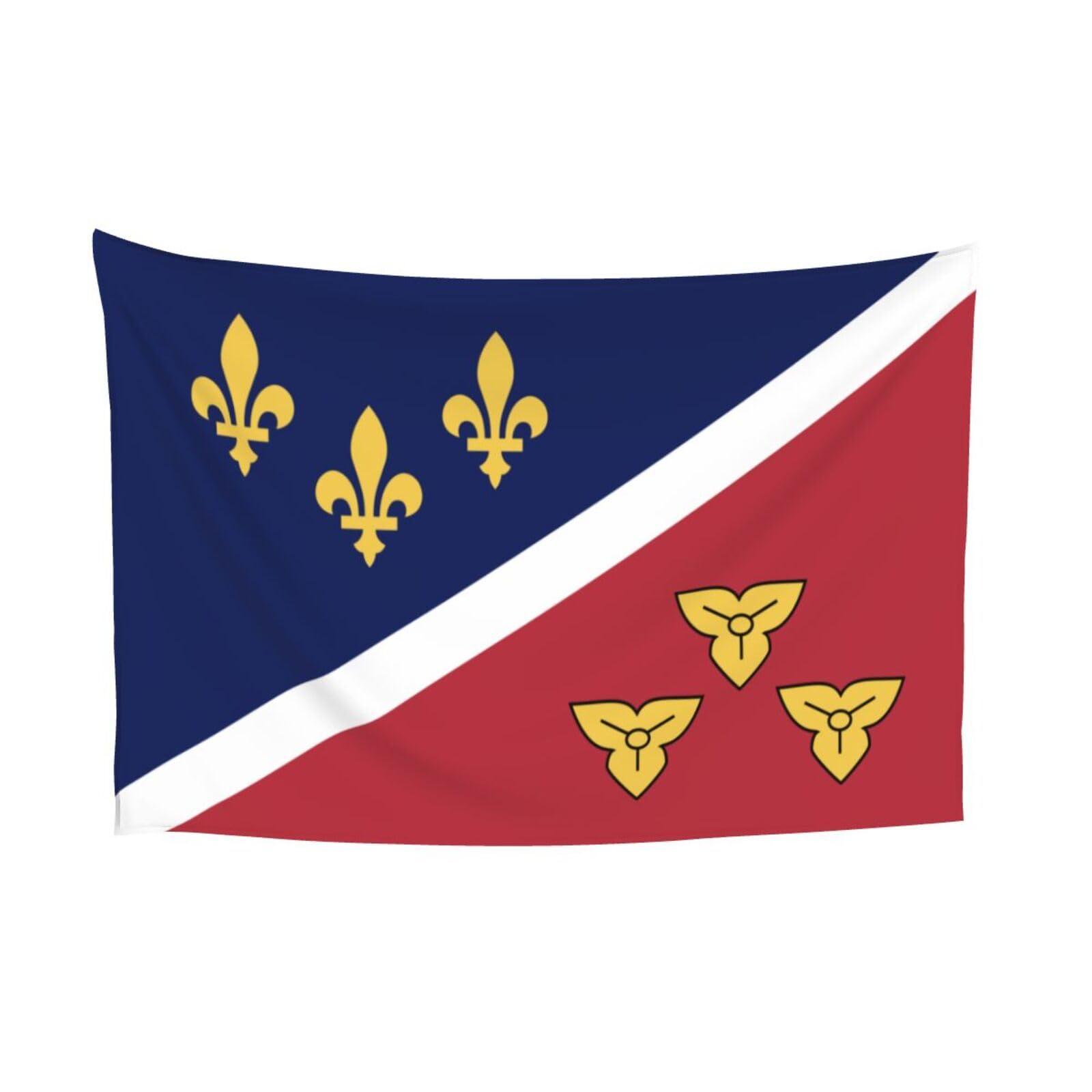 LIFANGMI LIFANGMI Flag Of Metairie, Louisiana Tapestry Wall Hanging 60x40 Inch Bedroom Living Room Dormitory Home Decoration Wall Tapestry