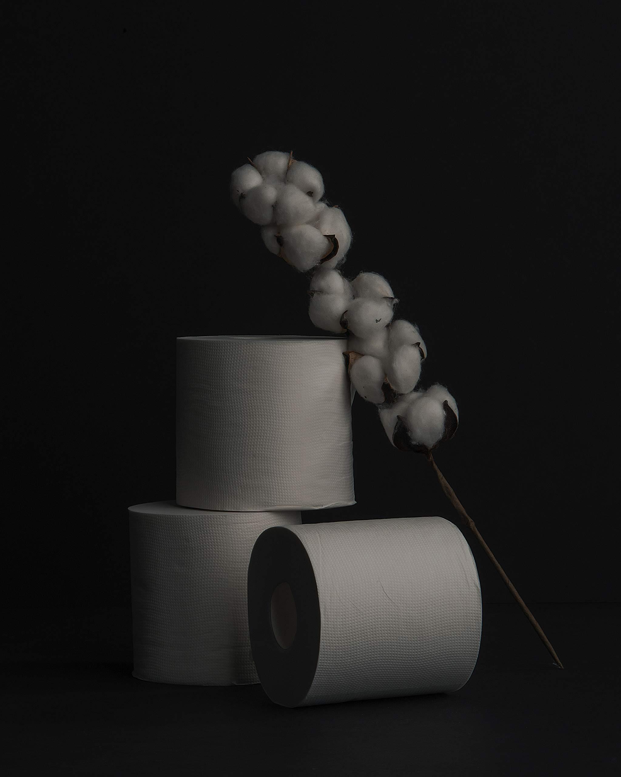 Commodore LUXSOFT Premium 3-Ply Luxury Toilet Paper 6-Pack - Septic, RV, and Boat Safe with Quick Dissolving Material (Single Pack (6 Rolls)) white