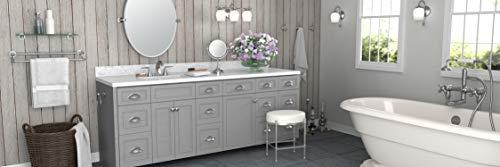 Gatco Gatco 4123 Tavern Toilet Paper Holder, Polished Nickel / Wall Mounted Euro Style Toilet Tissue Holder, Zinc