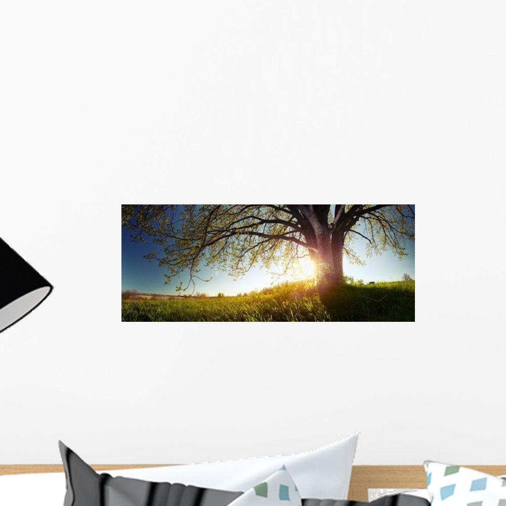 Oasis Oasis 033963-010 WaterGuard Assembly for Oasis RR Series Bottled Water Coolers, Standard White