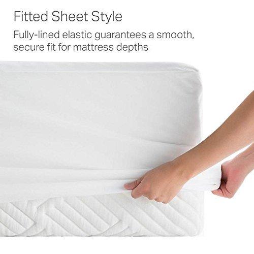 Plaza Cotton Collection Silky-Soft Rich 1500 Thread Count Combed Cotton Short Queen Size 4-PCs Bed Sheets Set (1 Fitted, 1 Flat, 2 Pillowcase) Fits 16-20\" Deep Pocket, (Solid, Ivory)