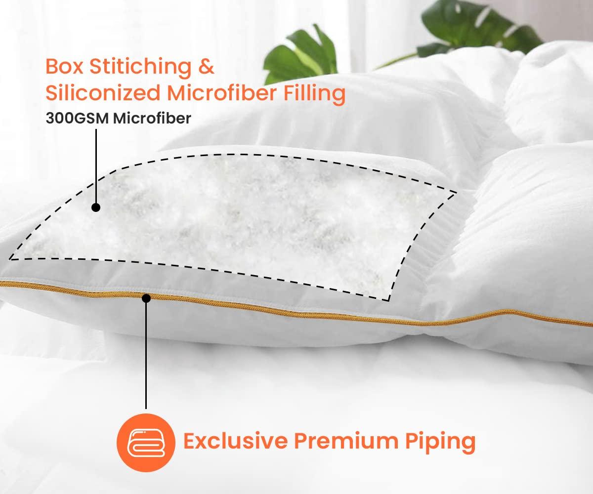 Canvas Art USA Ty Cobb And Honus Wagner, 1880 by Leopold Morse Goulston Baseball Collection - 31\" x 38\" Canvas Art Print Gallery Wrapped - Ready to Hang