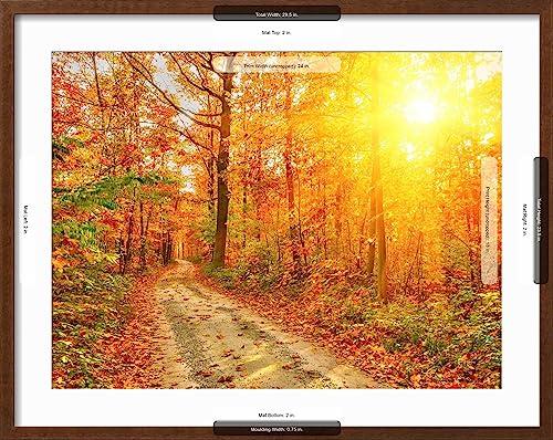 ART.COM ART.COM Framed Wall Art Prints Pathway through the Autumn Forest by sborisov, Scenic Decor, 24\" x 18\", Espresso Frame with White Mat