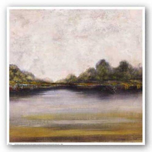 New York Graphics New York Graphics Santee River I by Dysart 26"x26" Art Print Poster