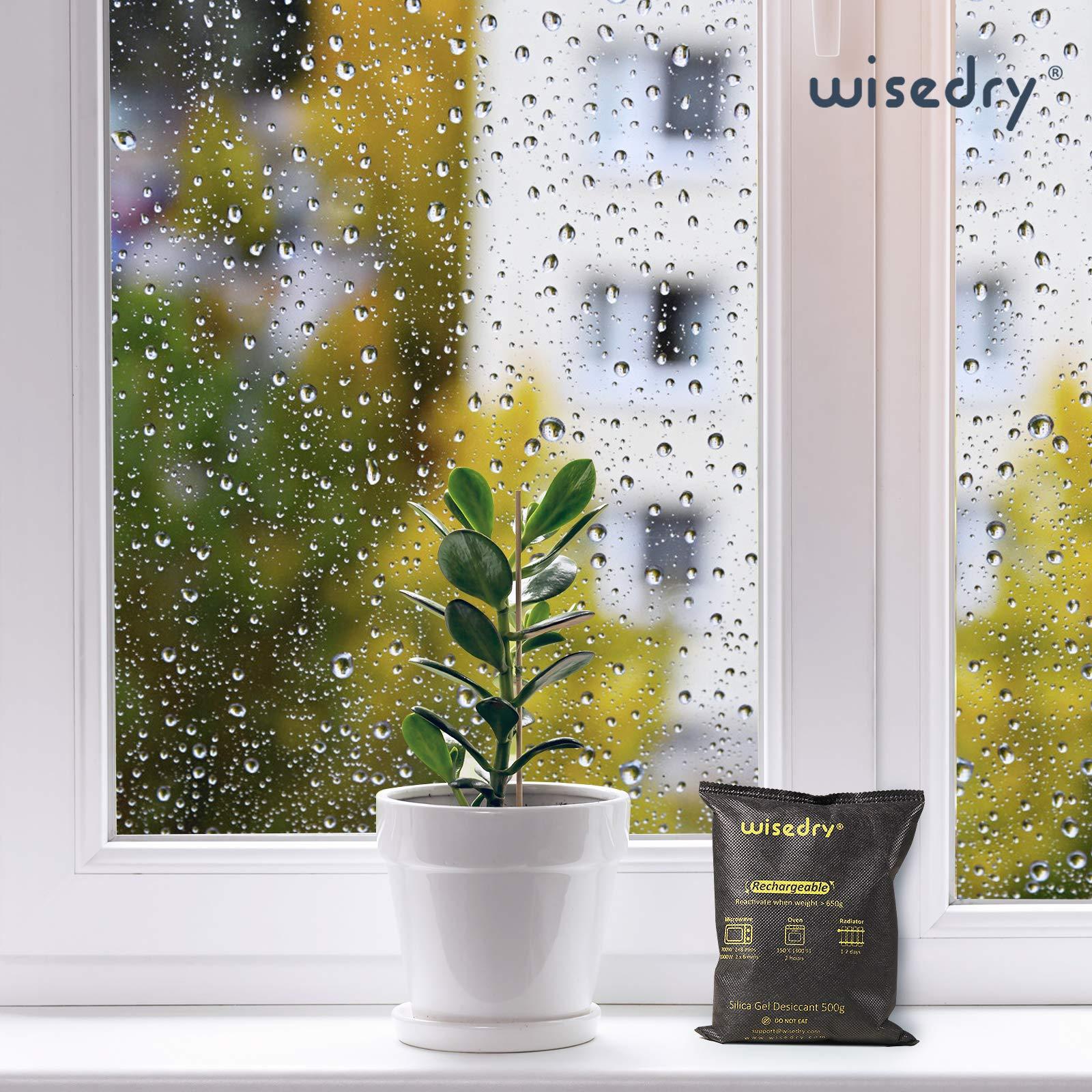 wisedry wisedry 4 x 500 Grams [4.4 lbs] Rechargeable Silica Gel Car Dehumidifier, Microwave Fast Reactivated Desiccant Packets Large for Gun Safe Closet Basement Garage Storage Moisture Absorber Bag Reusable