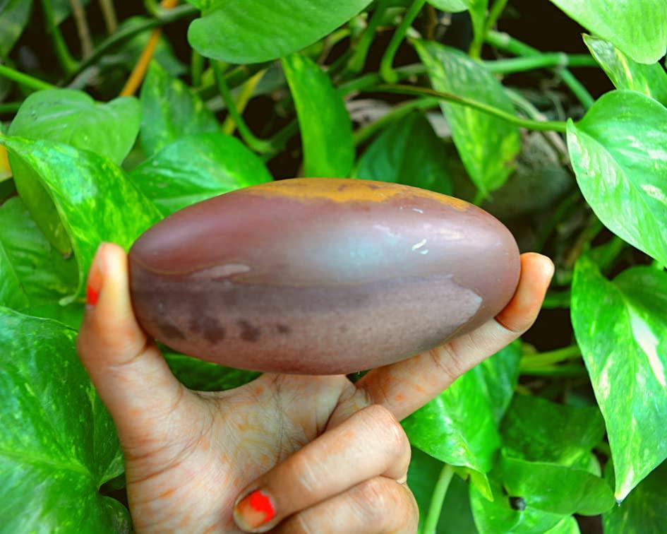 Shiva Lingam Shop Shiva Lingam Stone ~I-5700