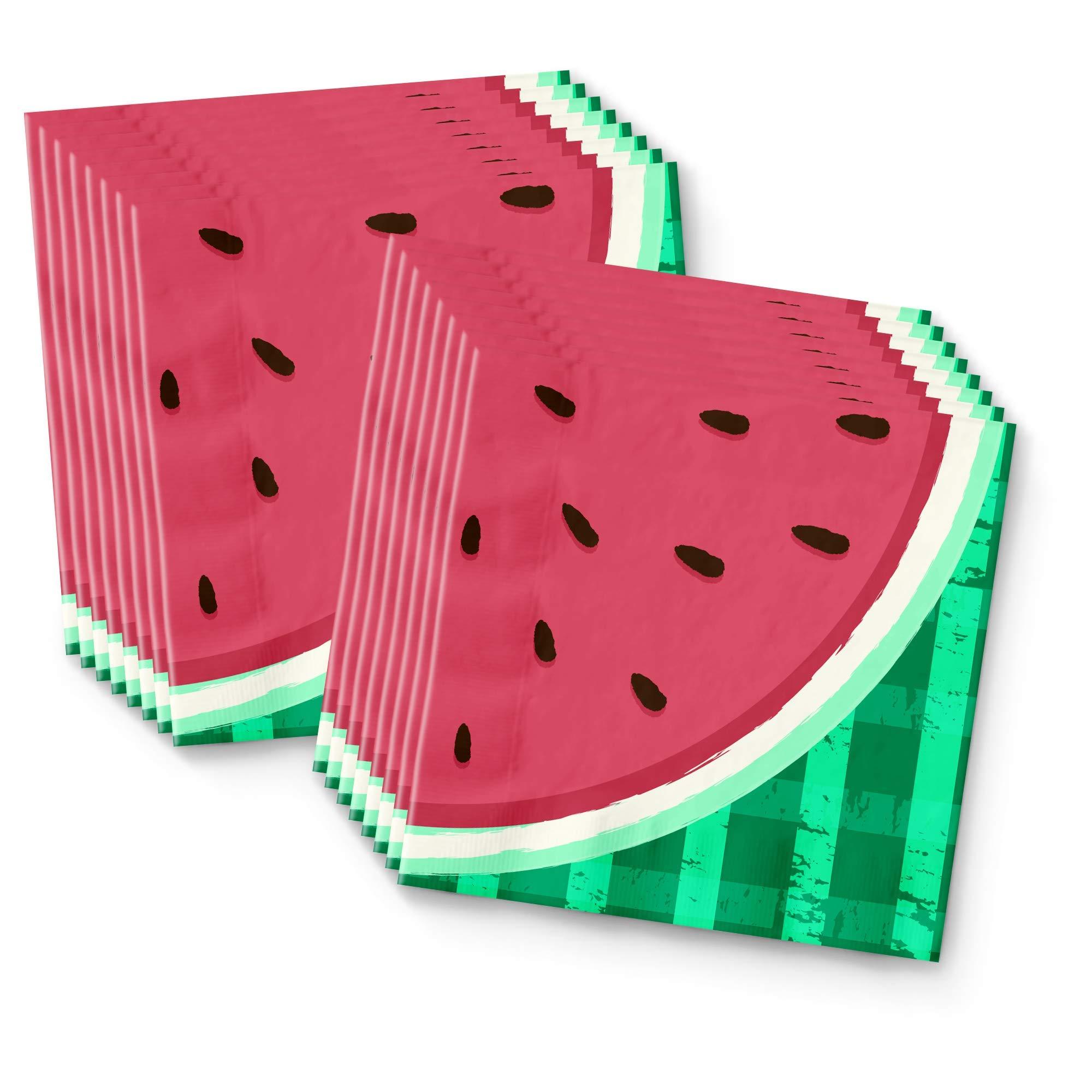 Birthday Galore Watermelon Birthday Party Supplies Set Plates Napkins Cups Tableware Kit for 16