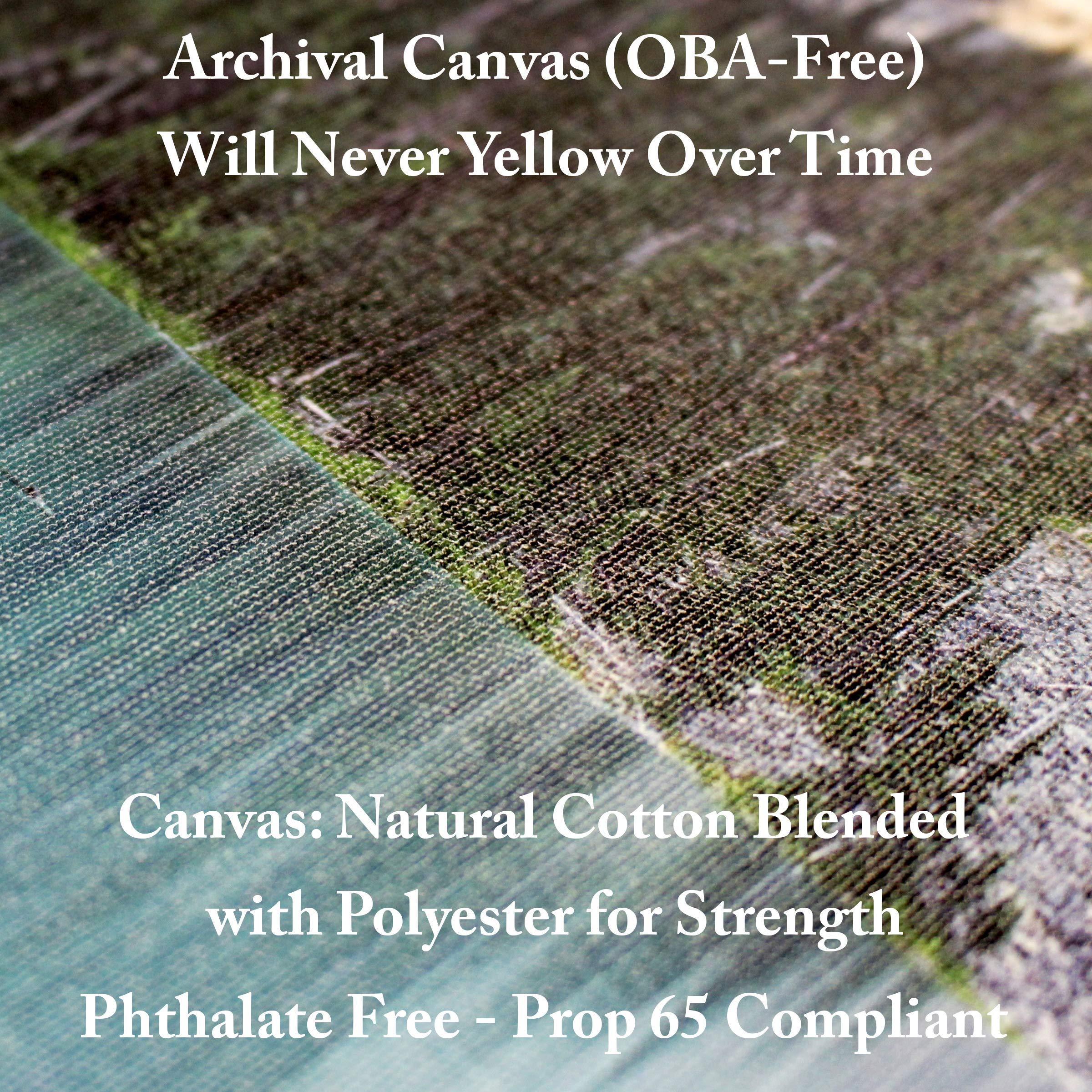 Trademark Fine Art Trademark Fine Art, 24x24 Whimsy Field I by Jennifer Goldberger, Multiple