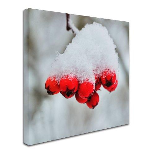 RTA RTA 9 Bottle Traditional Wine Rack-Kit-Dark Pine (FSC)