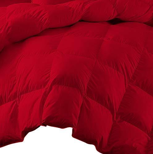 Kings Loft Kings Loft Deluxe King/Cal King Size 800 Thread Count Solid Blood Red Down Alternative 3 Piece Box Design Comforter Set 100% Egyptian Cotton, KINGLF-800-LPN_C-3-K-CK-BLDR, King/Cal King-3 Piece