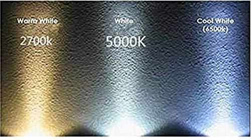 Best to Buy (12-Pack) T5 T10 Wedge Base LED Light Bulbs High Brightness 12VAC/DC 3Watt for Outdoor Landscape Lighting Deck Stair Step Path Lights and Automotive RV Travel Tailer Ligh (Warm White 3000K)