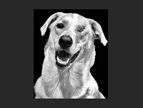 Generic Custom, photo engraved Stainless Steel Tumbler, with Lid, 30 oz, Personalized Vacuum Insulated Double Wall, Powder Coated