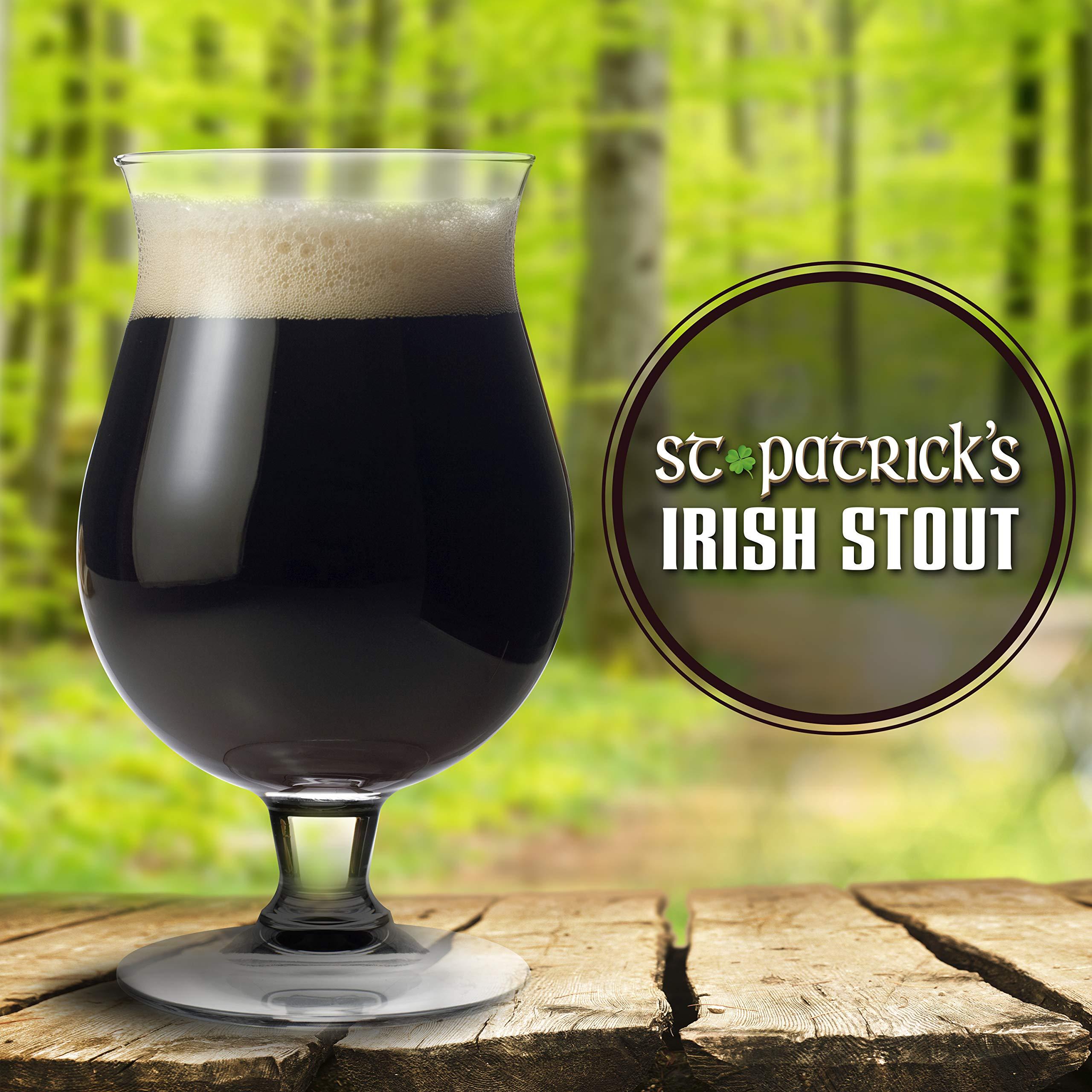 Mr. Beer Mr. Beer Irish Stout 2 Gallon Homebrewing Refill