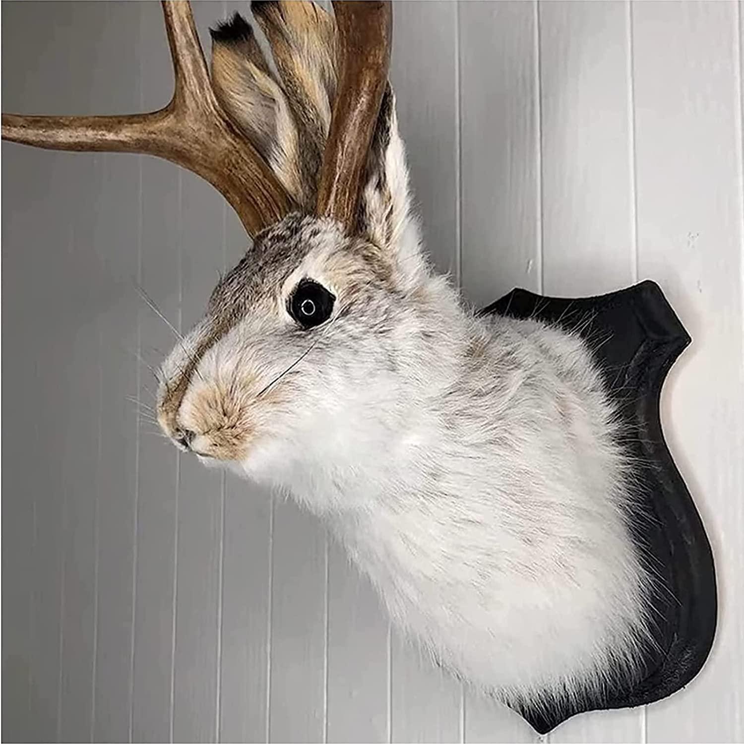 YXMKJOS YXMKJOS Jackalope Mount, Easter Bunny Wall Decor, Jackalope Taxidermy, Animal Head Wall Decor, Animals Wall Art, Resin Deer Head Animal Wall Mount, for Home Wall Decoration