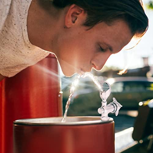 Homewerks Worldwide Homewerks Worldwide 3310-150-CH-B-Z Water Drinking Fountain Faucet 1/2\" FPT WTR Bubbler, No Size, Chrome