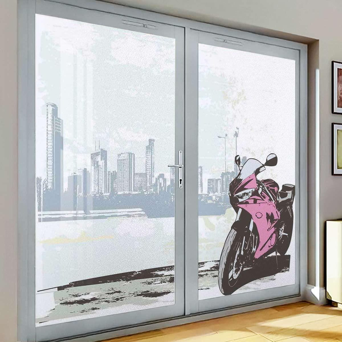 HomeLoft Basics Frosted Glass Window Film,Static Cling Window Film,Window Sticker Privacy,Film for Glass Door Bathroom Office Living Room Motorbike by River 23.6Wx78.7L-inch x2 Pcs