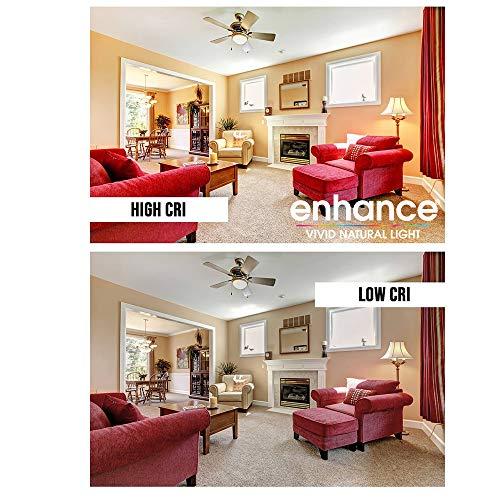 Feit Electric Feit Electric BPCFC25/927CA/FIL/2 25W EQ DM LED Candelabra Light Bulb, 2 Bulbs