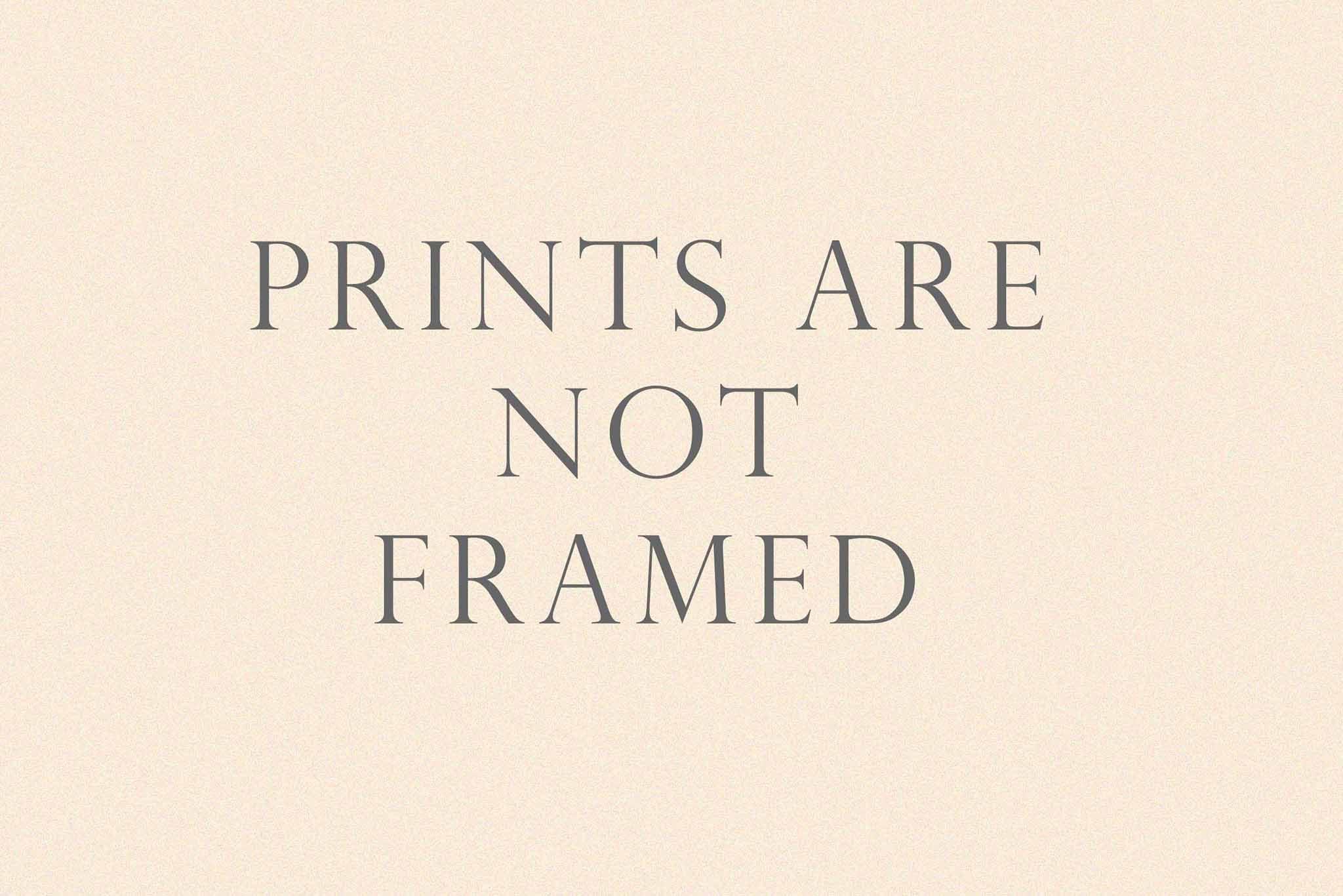 Southern Plains Photography Nature Photography Print (Not Framed) Picture of Angel Oak Tree on Summer Day near Charleston South Carolina Southern Wall Art Lowcountry Decor (16\" x 24\")