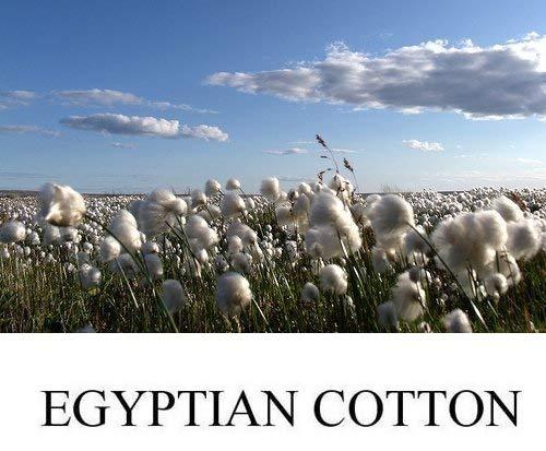 American Linen Luxury Linen Bed Sheets Set Purple Solid Premium Quality, 6 PCs Full XL Bed Sheet Set 100% Egyptain Cotton, 24 Inches Deep Pocket