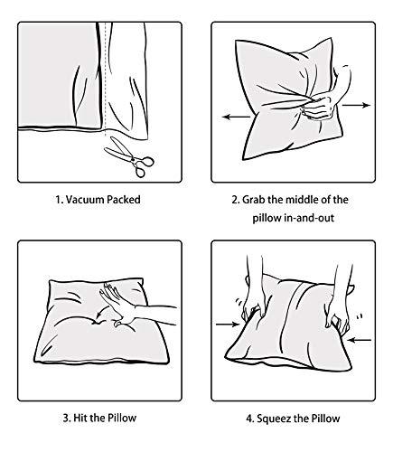 FBTS Basic FBTS Basic Throw Pillow Inserts 18x18 Inch Square Sham Stuffer Down Alternative Pillow Forms for Decorative Cushions and Pillows