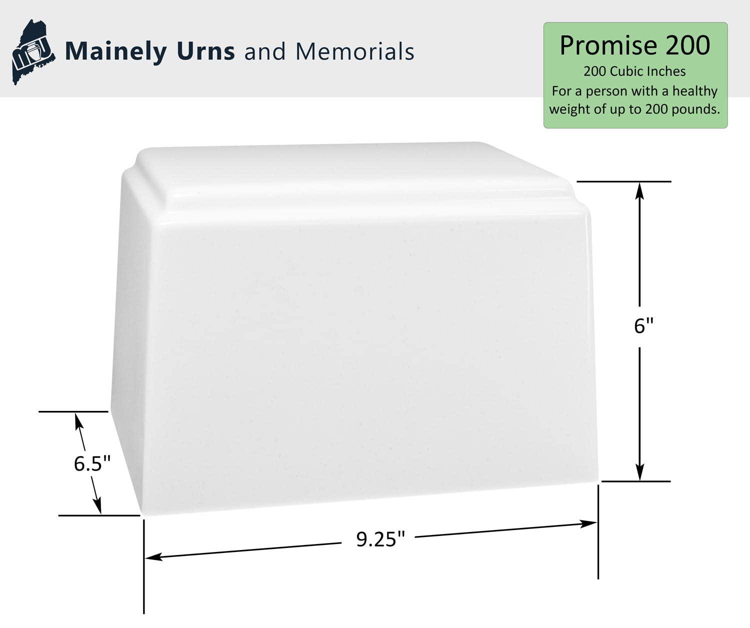 Mainely Urns Hummingbird Themed Rose Promise Cremation Urn for Ashes with Personalization - Cultured Marble Urn - 200 Cubic Inch Capacity for a Person Weighing Up to 200 Pounds